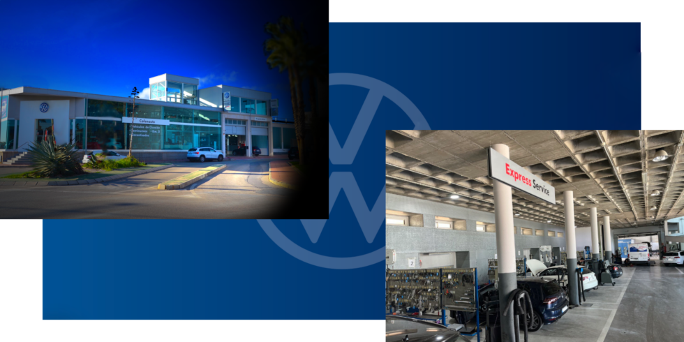 Recepción y exposición Cofenauto
